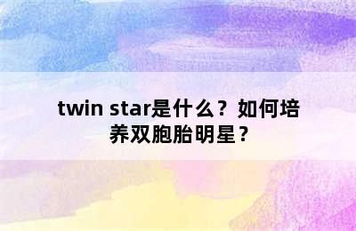 twin star是什么？如何培养双胞胎明星？